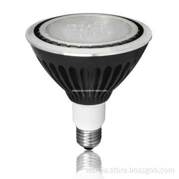 Light Bulb Lamp 277V LED PAR38